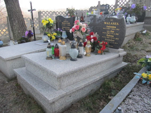 Grób Stanisław Walasek