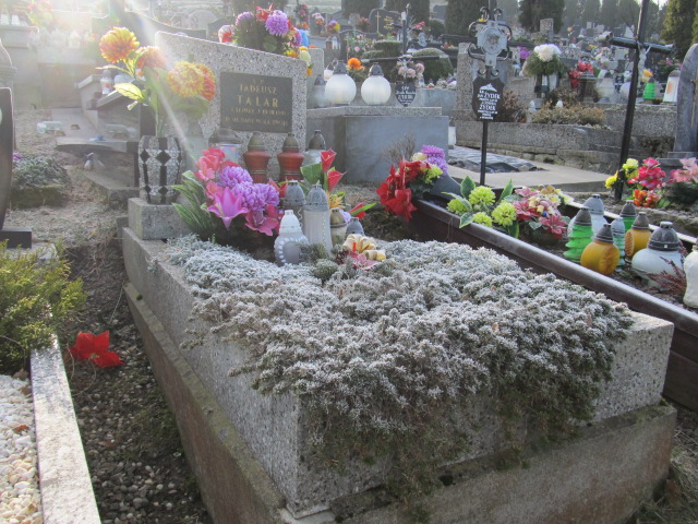 Grób Czesław Talar
